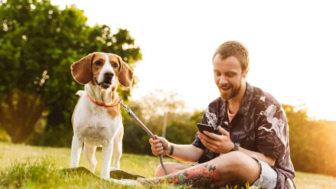 How to Stop Your Beagle From Pulling on the Leash (Solved!)