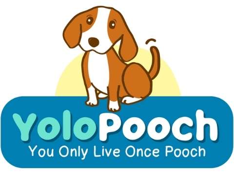 yolo pooch logo