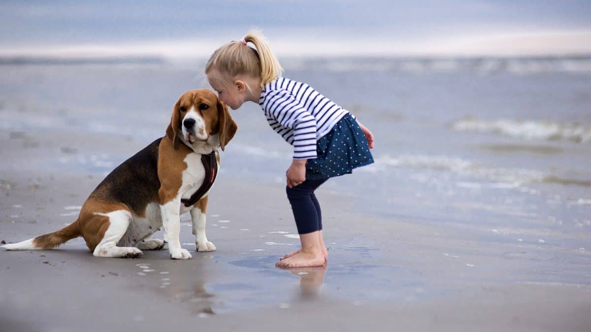dog lover NEGLXQ6 edited Do Beagles Like Water? (Solved)