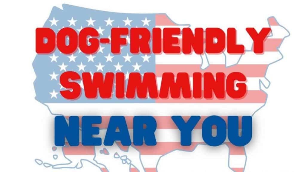 2 Dog Friendly Swimming in California