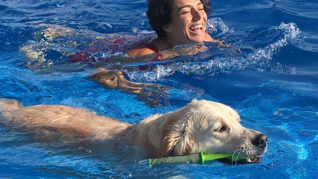 Dog Friendly Swimming (Beaches, Lakes, Parks, & Pools)