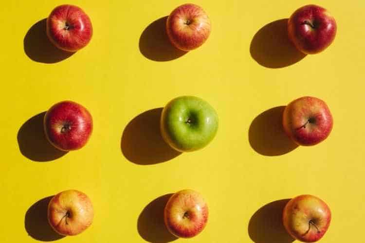 can dogs eat apples 7 Best Fruits to Give Dogs +5 Dangerous Fruits to NEVER Feed Dogs