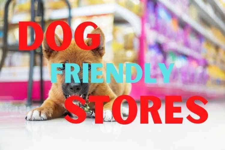 What stores allow dogs?