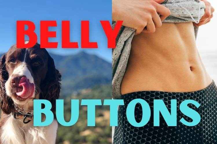 Why do dogs lick belly buttons? (Yikes!)