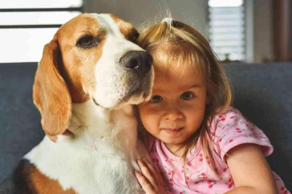 are beagles good with kids or toddlers