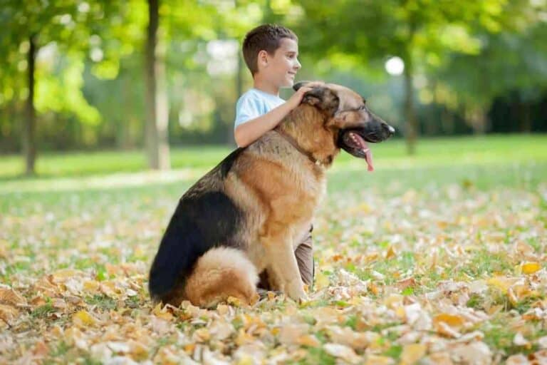 Are German Shepherds Good With Kids?