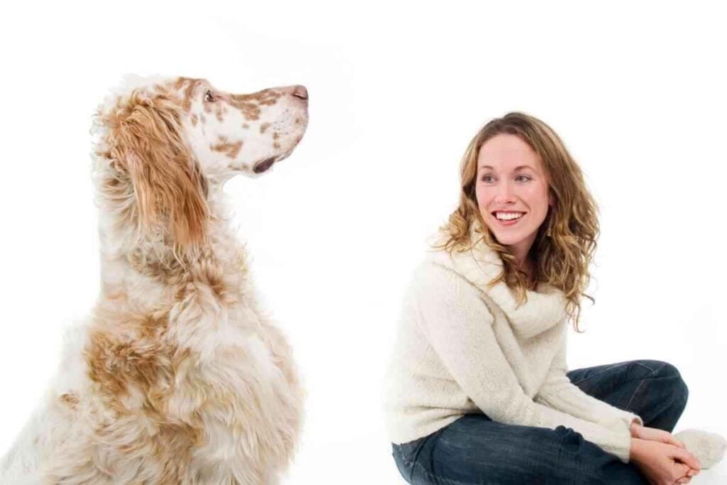 Are English Setters Good For First Time Dog Owners 1 Are English Setters Good For First-Time Dog Owners?
