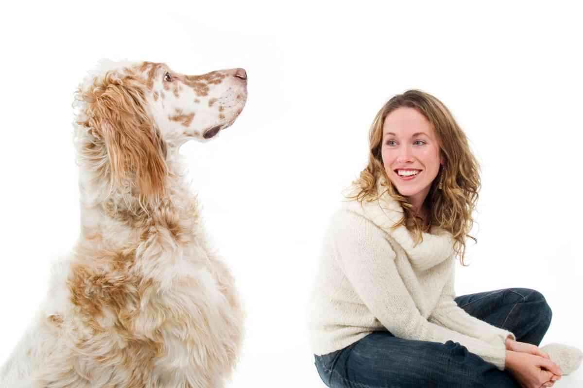 Are English Setters Good For FirstTime Dog Owners? Yolo Pooch